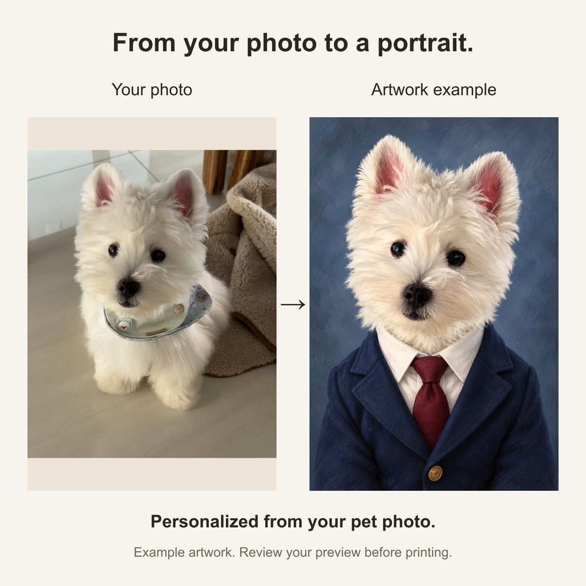 Custom Business Headshot Pet Portrait Canvas — original photo and artwork comparison