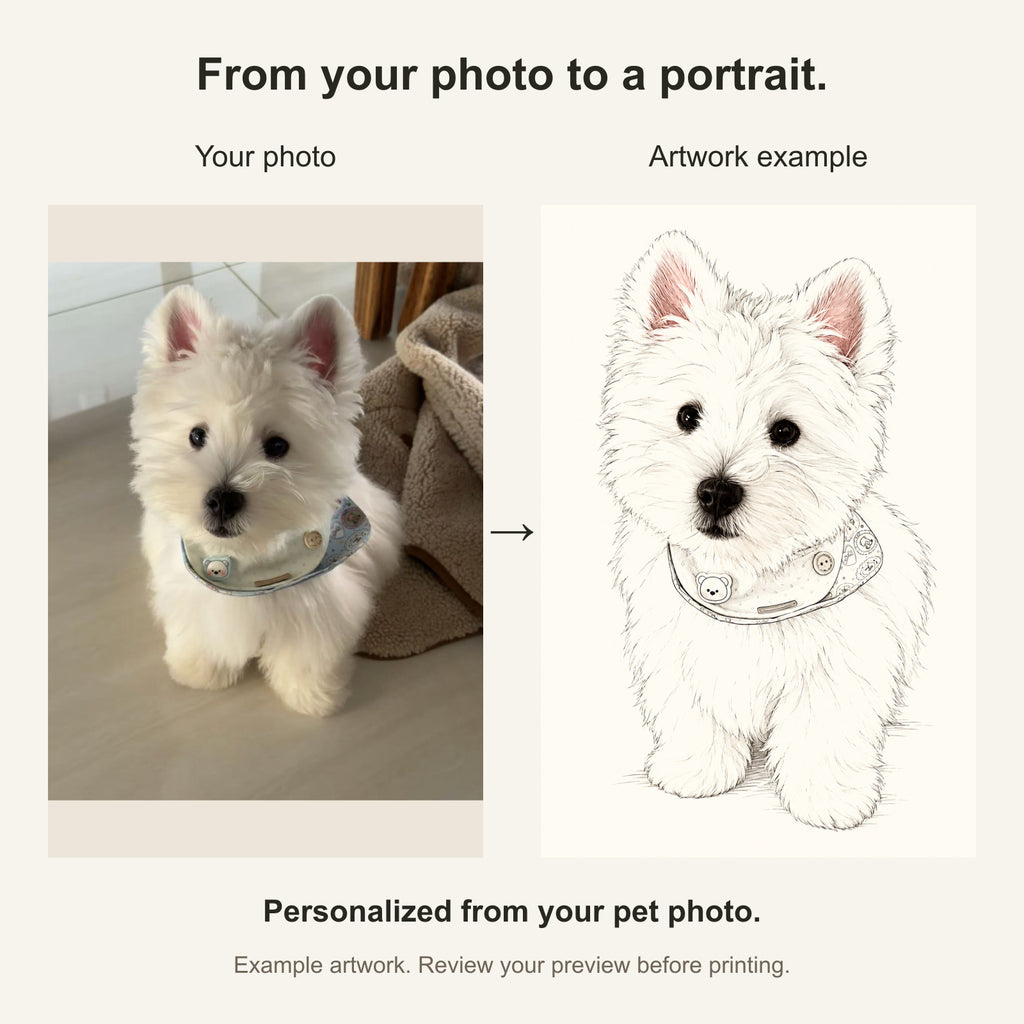 Custom Minimal Line Art Pet Portrait Canvas — original photo and artwork comparison