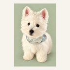 Custom Modern Illustration Pet Portrait Canvas — complete artwork example