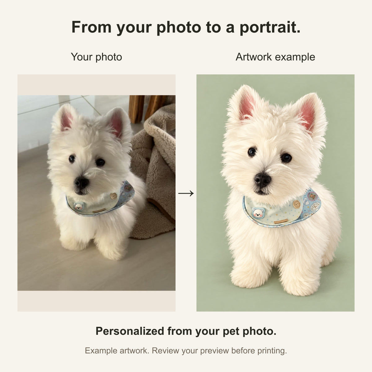 Custom Modern Illustration Pet Portrait Canvas — original photo and artwork comparison