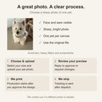 Photo requirements and ordering process; production starts after your approval
