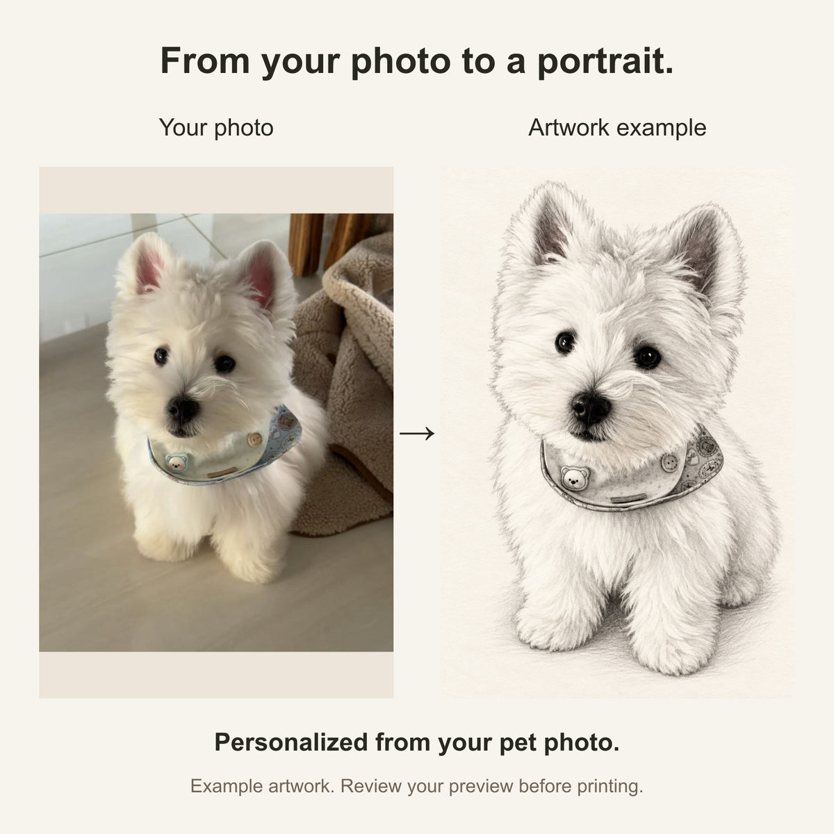Custom Pencil Sketch Pet Portrait Canvas — original photo and artwork comparison