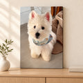 Custom Pet Photo Canvas Print — illustrative stretched canvas mockup, no decorative outer frame