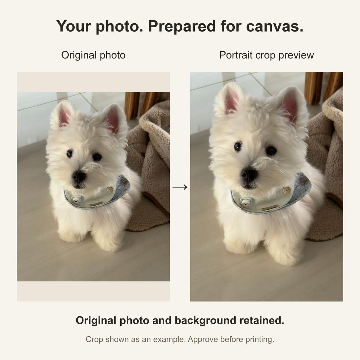 Custom Pet Photo Canvas Print — original photo and portrait crop comparison