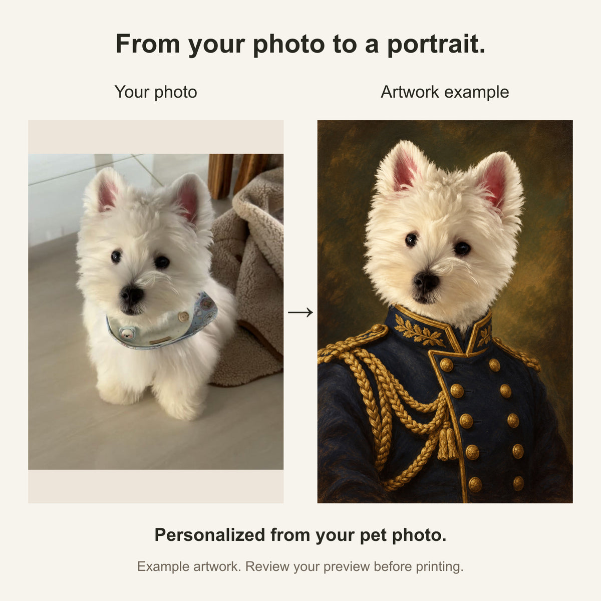 Custom Vintage Officer Pet Portrait Canvas — original photo and artwork comparison